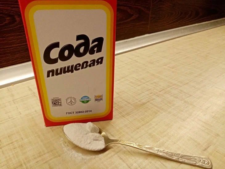 4 проверенных способа сделать из соды удобрение: всего несколько граммов белого порошка решат проблемы, на которые тратятся годы и тысячи