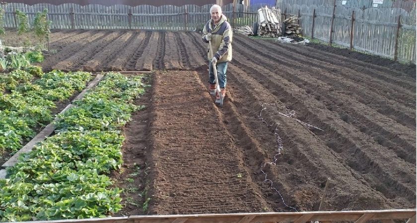 Священник прямо ответил, можно ли заниматься огородом в Пасху