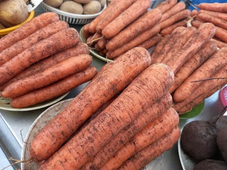 Самое время сеять морковь: названы благоприятные дни в мае и июне