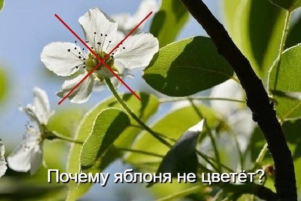 ,   :     