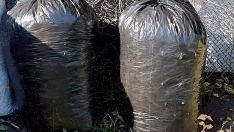   :       