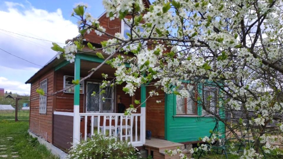 Не все деревья - друзья: 7 видов, которых не стоит сажать рядом с домом