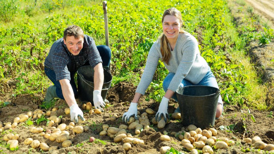 ������� ��������� ������ ���� ��������: �������� �� ��������� ����� � �����