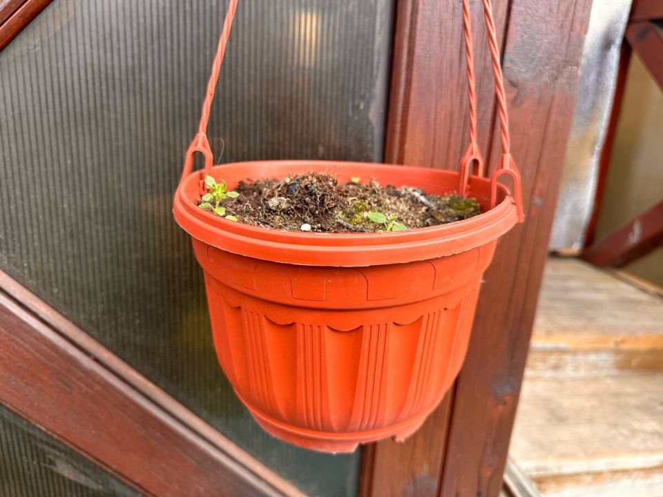 ������� �������: ��� �� ������ ������� � ������ �������� �� ����