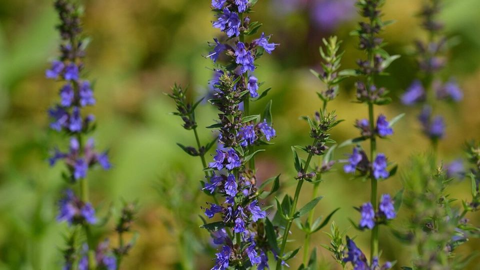 �����: ������� �������� ��� �������� � ���������