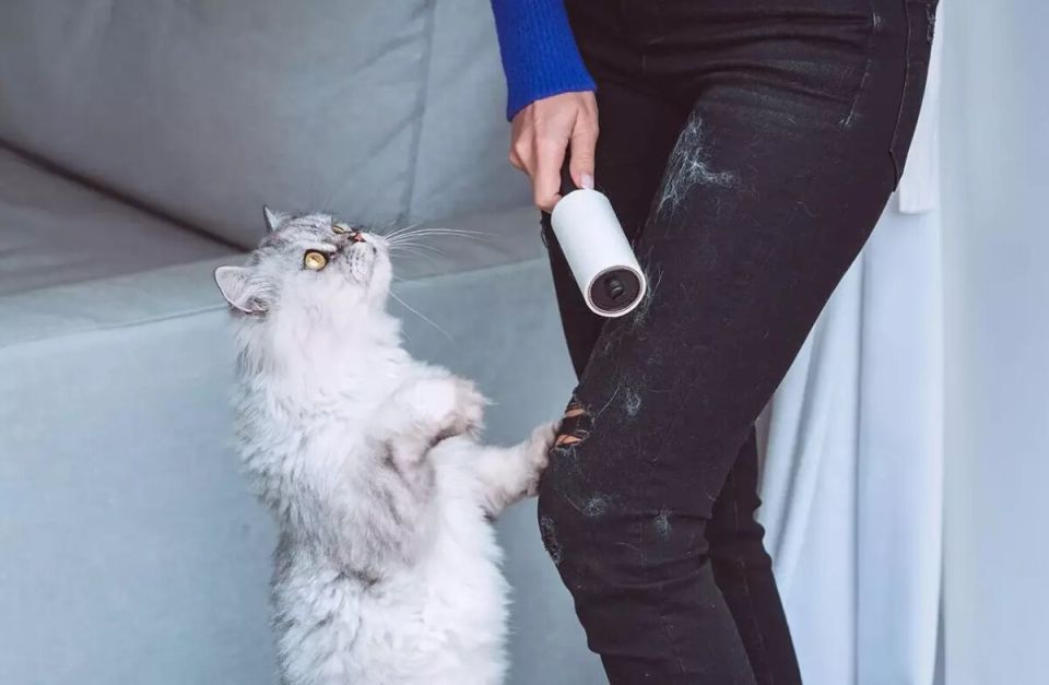 Эффективные советы по удалению шерсти животных при стирке