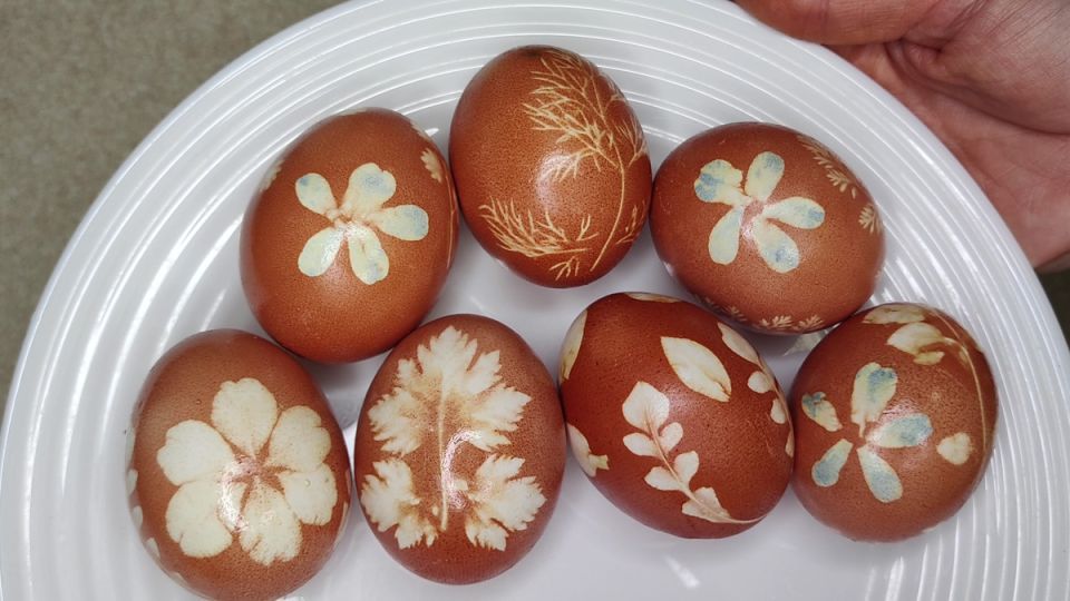 ����� ���������� ����: ������� ������� � ������� ������� ������