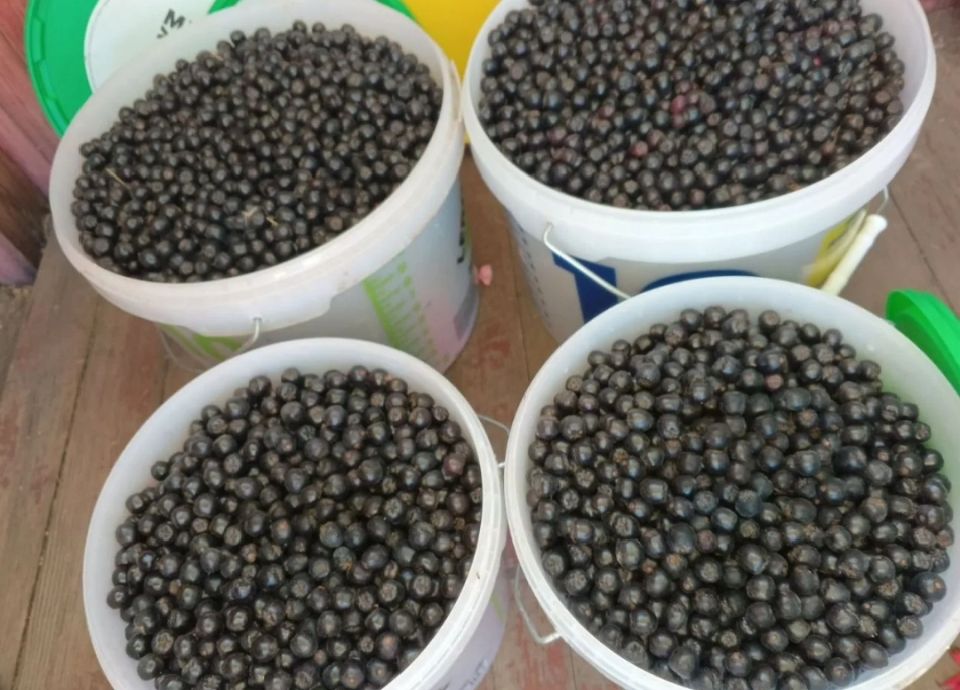 ������ ������ ����� �������� ��� �����������: ������ ��������� � ������� downturn'�