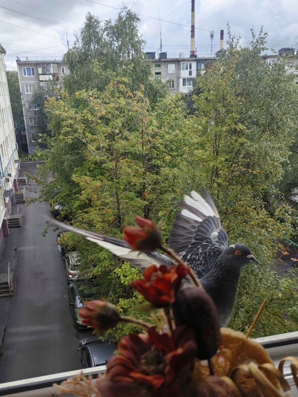 Летние удовольствия: Продукты и гастрономические открытия недели