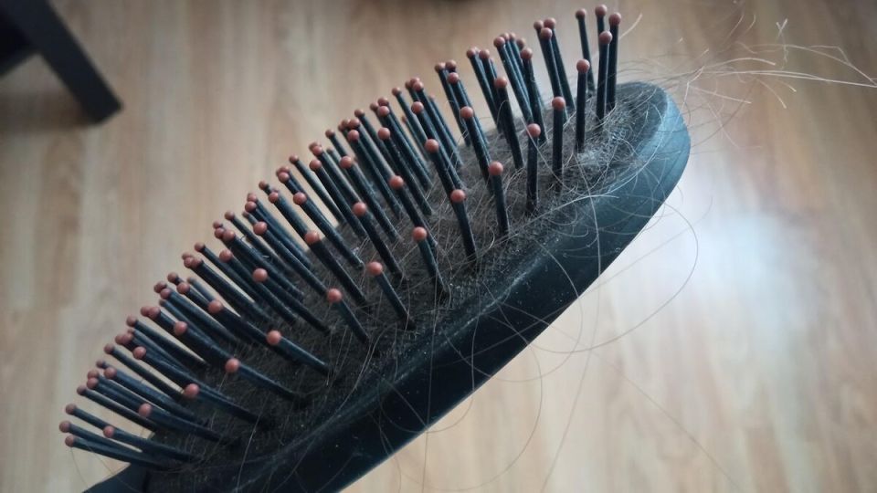 ��� ��������� �������� �� ������ ������ ������ �� ���������