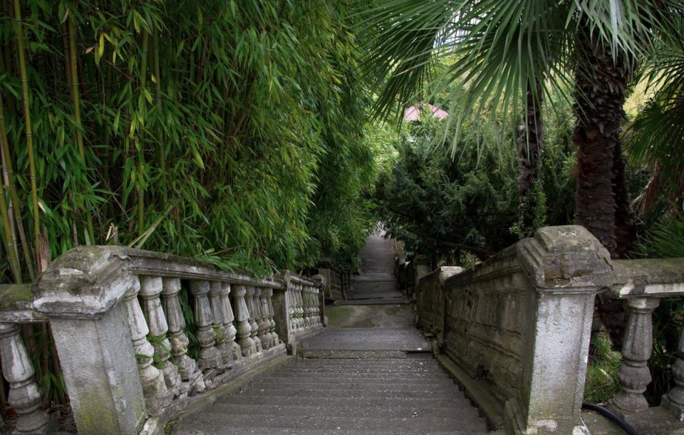 ����� ���������� ���������: ��� ����������� ���� ����� ����� �����