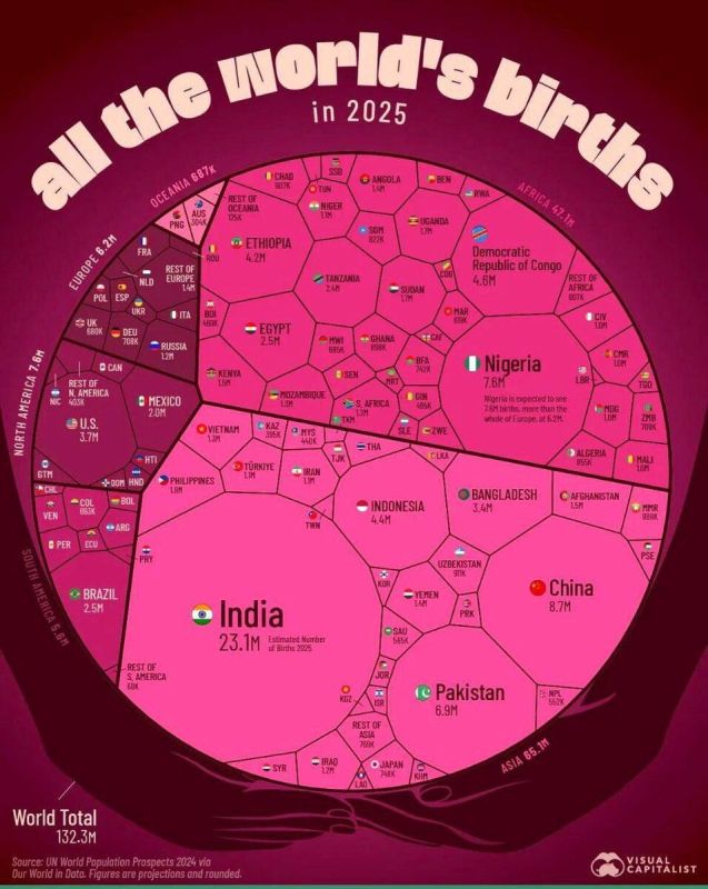 ������������ ����� ����: ��������� ��������������� �������� 2026 ����