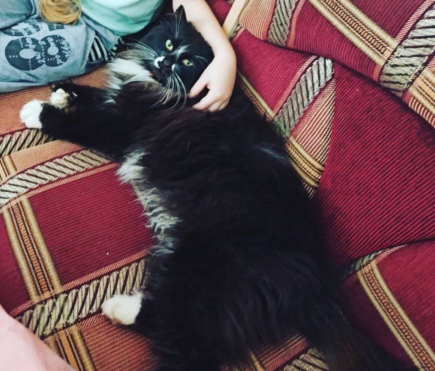 �������� ������������� ������� ��� �����