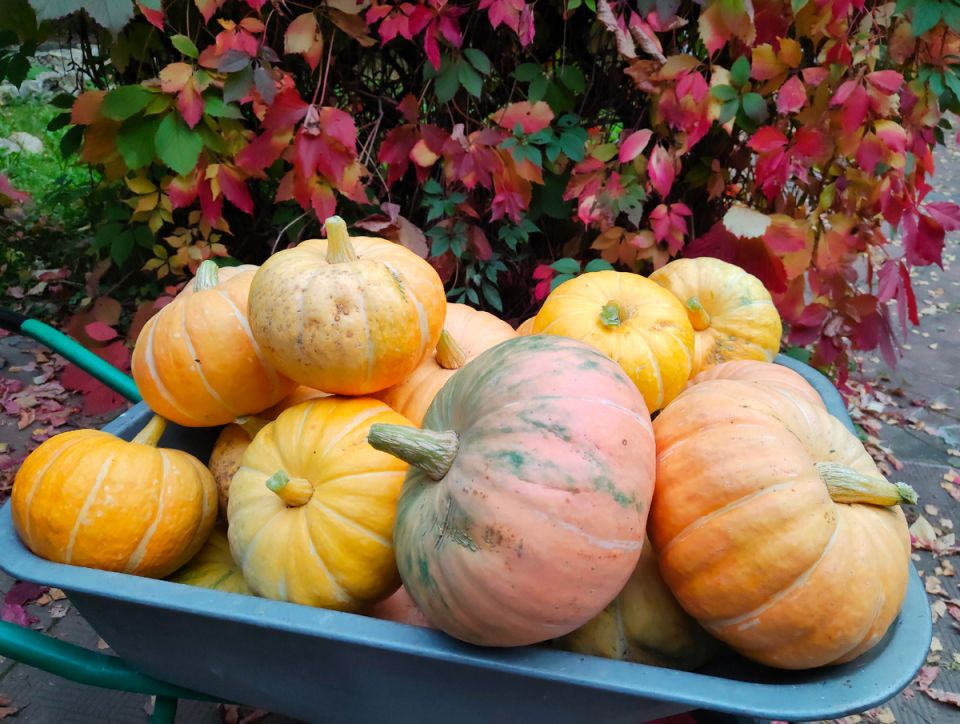 ��� ������� 18 ���� ��� �������: ���������� � ����