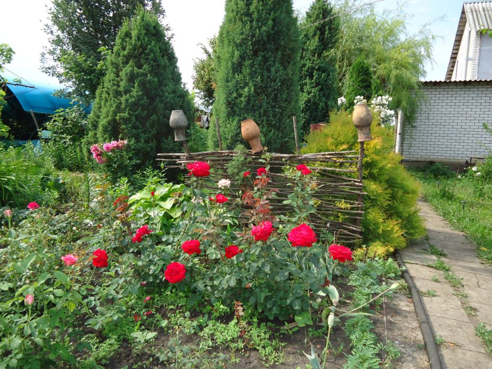 ������� �������� �� ���� ��� ��������� ����������� ������� routine