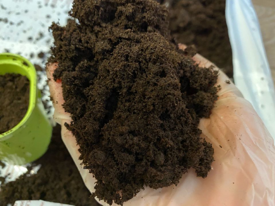 Осенью готовлю грунт для рассады: практичный подход к собственному урожаю