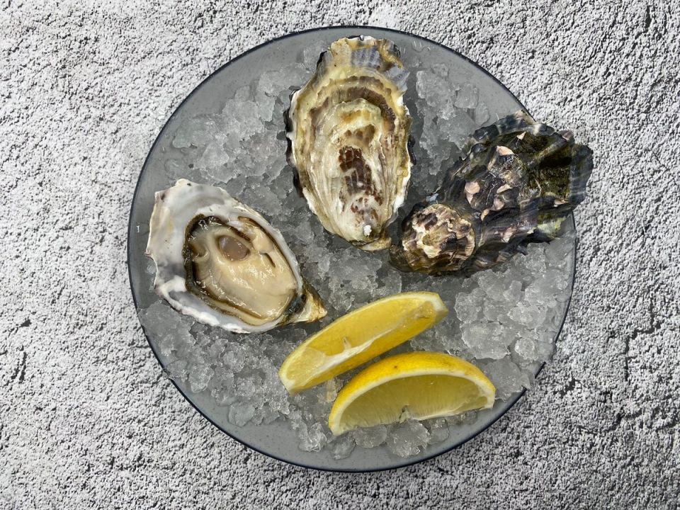 ������� ����� �� �������: ��������� �������� ����� ����