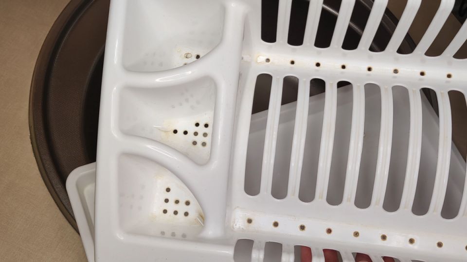 ����� ��� �������� �� ����: ������� ������� ������ �����������