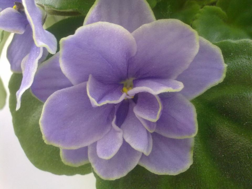 ��������� �������� ��� ����� ��������� � ������� ��������