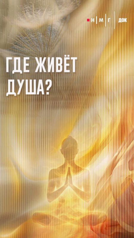 VK Видео и НМГ ДОК заключили крупнейшую сделку на рынке документального кино