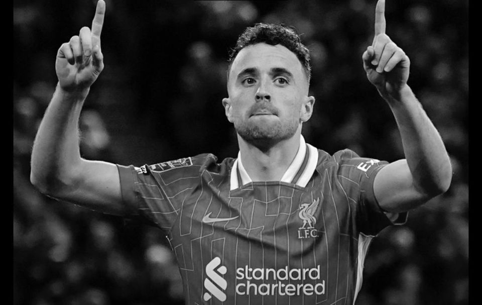      &quot;&quot;        28 ,  Marca