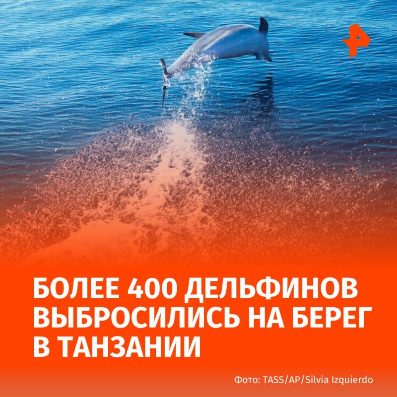  400      