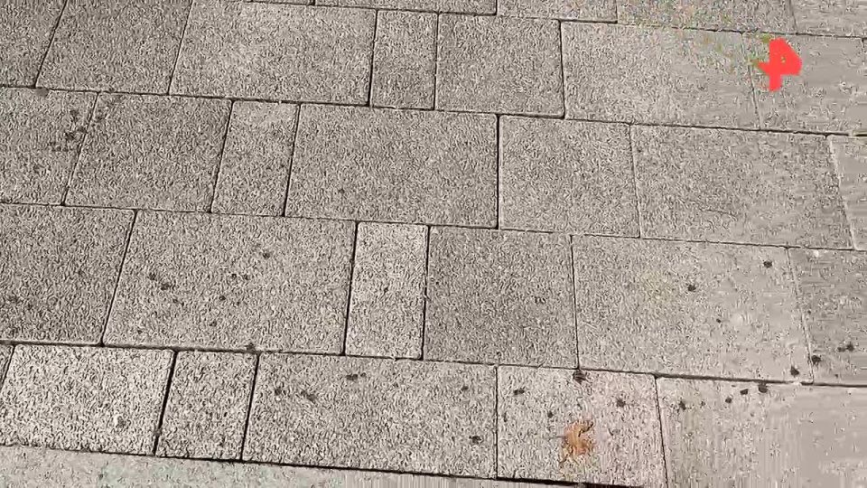 &quot; &quot;:              