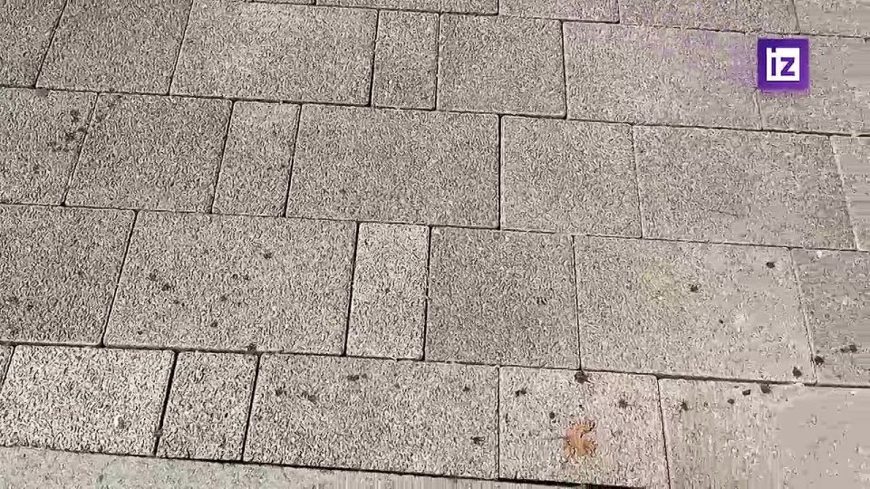 &quot; ,   &quot;