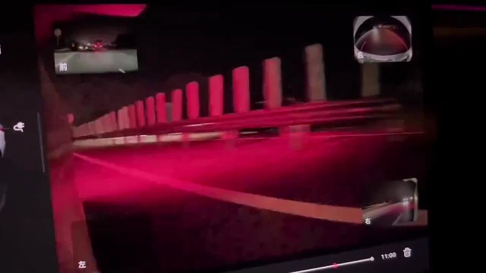  Tesla   ,     