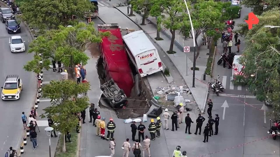  :          ,  AFP