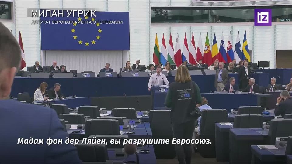  &quot; &quot;        ,      ,     