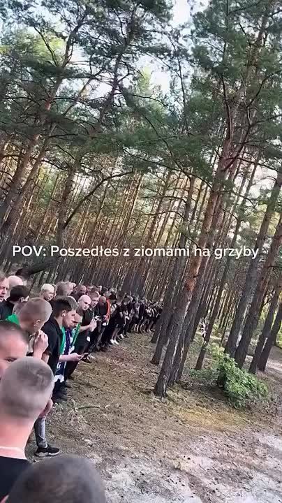    &quot; &quot;   &quot;-&quot;     