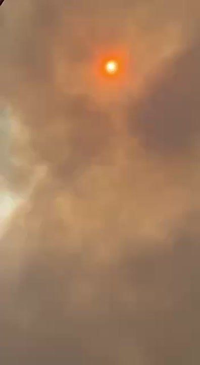  2      - 