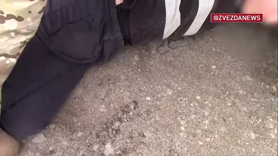        ,             ,   