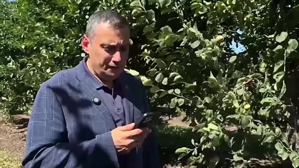            ,    ,            