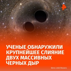   :        ,  The Guardian