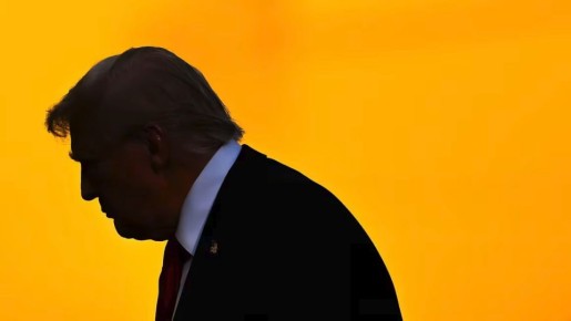  ,             ,  Politico       