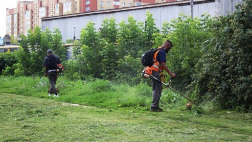 Бригады мехуборки ДБГ днем 7 августа работали на улице Вишневой