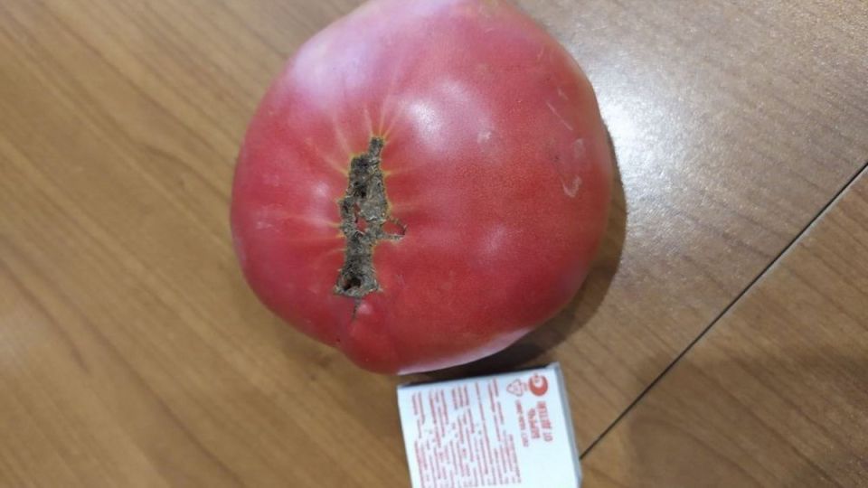          739 