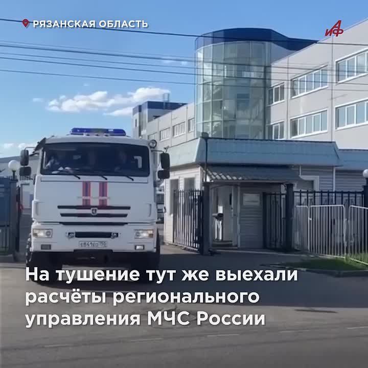   :           