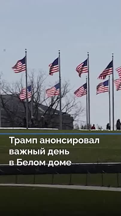   ,    :