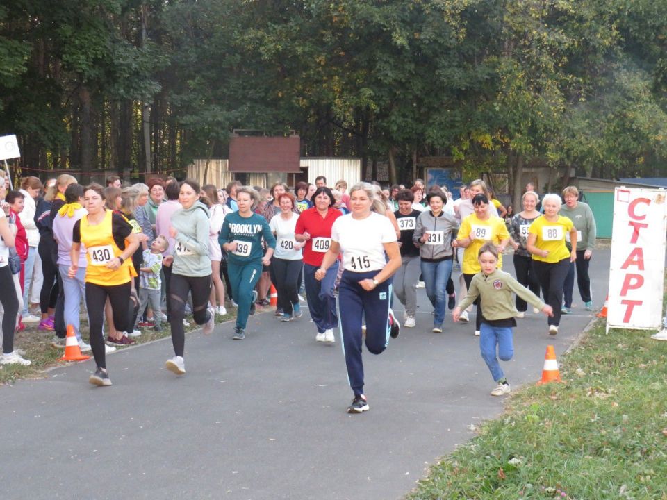 2        -  ,   ,    16.00   