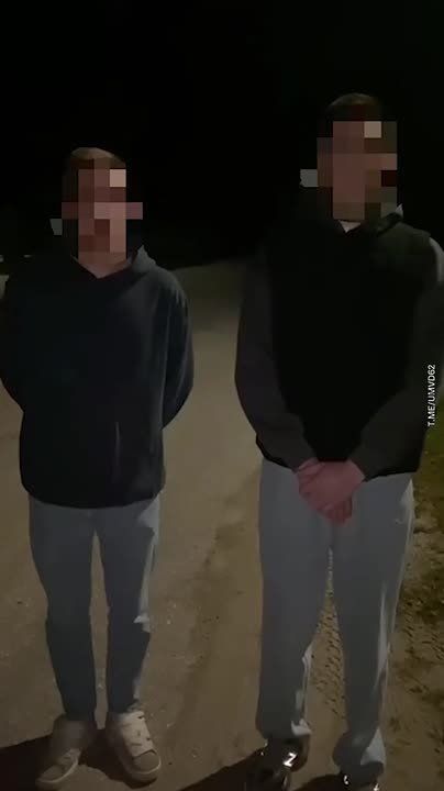      50-      -  