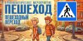 Результаты комплексного мероприятия Госавтоинспекции «Пешеход» в Рязанской области за прошедшие сутки