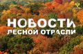 Интерфакс: Около 5,5 тыс. км противопожарных полос создали и прочистили в лесах Подмосковья