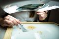 Рисовый бизнес: как качество семян влияет на урожай и прорастание