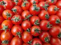 "Оригинальная закуска": черри, фаршированные сыром и овощами - семье понравится