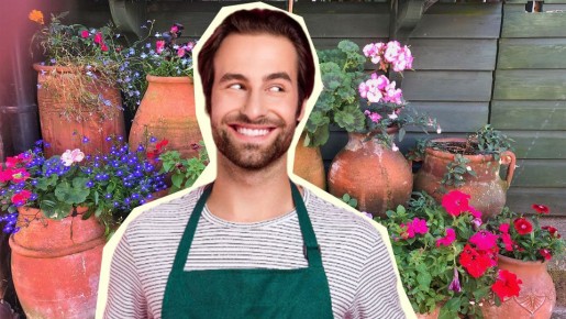 Подготовьте рассаду, пока не поздно: соседи глаз не оторвут от ваших роскошных цветов