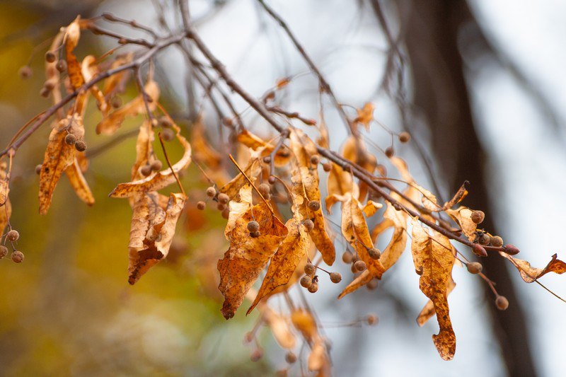 Прогноз погоды на пятницу от синоптиков Рязанского ЦГМС