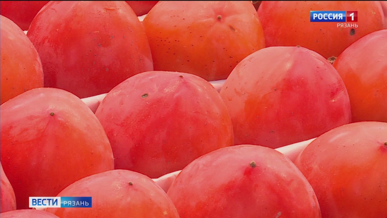 На рязанских прилавках появилась хурма